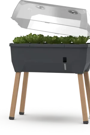 GUSTA GARDEN SAMMY SALAD Verhoogd Bed met Watertank en Afdekking, donkergroen - Zeer goed beoordeeld
