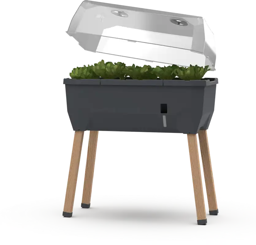 GUSTA GARDEN SAMMY SALAD Verhoogd Bed met Watertank en Afdekking, donkergroen - Zeer goed beoordeeld