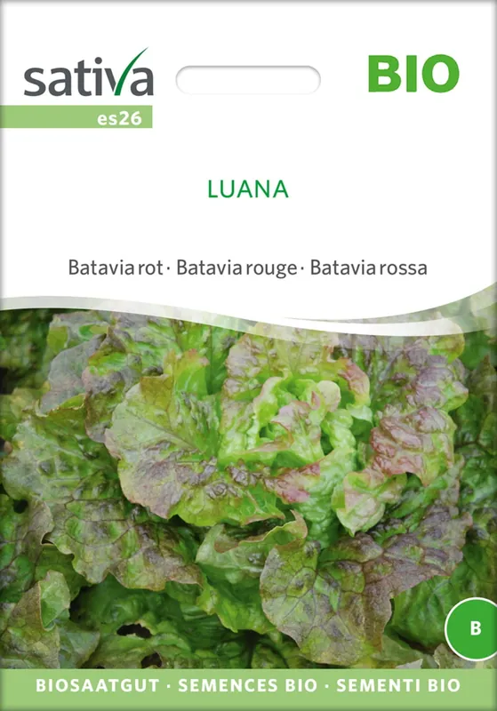 Sativa Biologische Batavia Rood “Luana” - Extra korting
