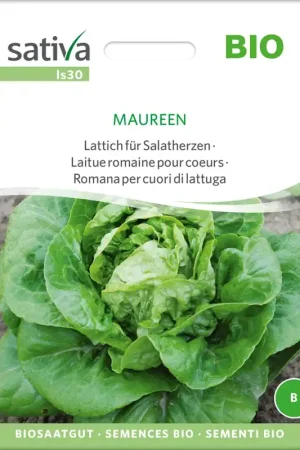 Uitverkoop | Sativa Biologische Sla "Maureen"