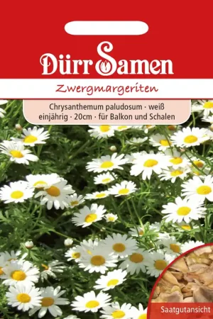 Dürr Samen Dwergmadeliefjes - Op = op