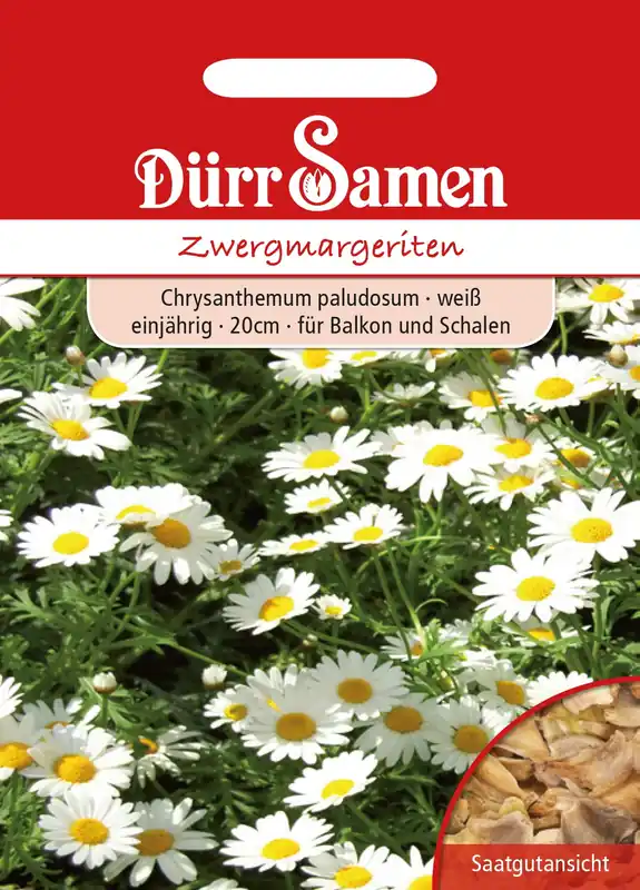Dürr Samen Dwergmadeliefjes - Op = op