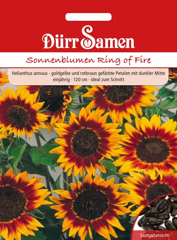 Dürr Samen Zonnebloem "Ring of Fire" - Hoog gewaardeerd