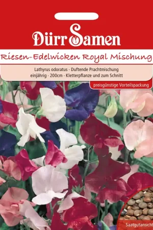 Direct beschikbaar - Dürr Samen Lathyrus "Prachtmischung" Voordeelverpakkingen