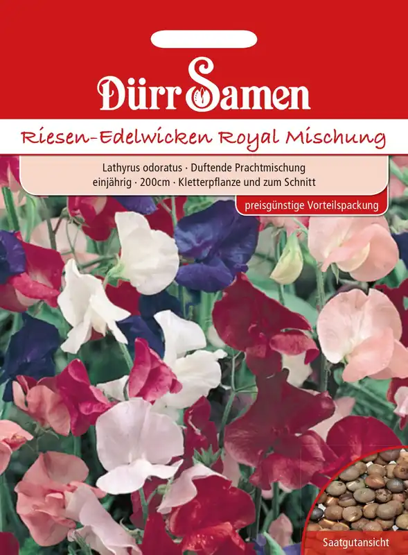 Direct beschikbaar - Dürr Samen Lathyrus "Prachtmischung" Voordeelverpakkingen
