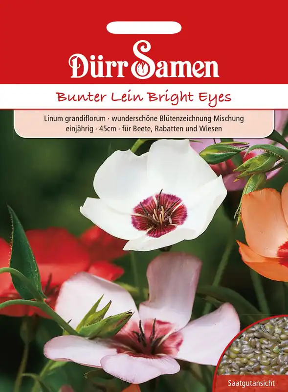 Populair bij klanten | Dürr Samen Bonte Vlas "Bright Eyes"