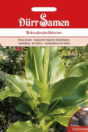 Dürr Samen Bananenboom | Nieuwe release