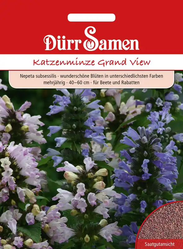 Dürr Samen Kattenkruid "Grand View" - Lage prijs