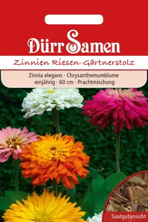 Net gelanceerd - Dürr Samen Zinnia "Riesen-Gärtnerstolz"