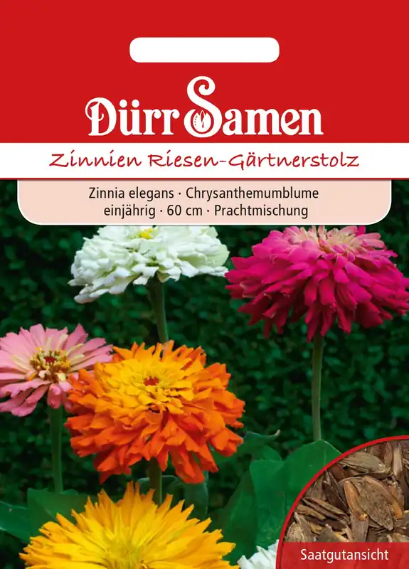 Net gelanceerd - Dürr Samen Zinnia "Riesen-Gärtnerstolz"