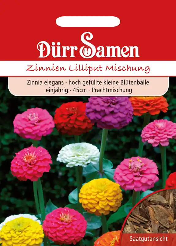 Extra voordeel | Dürr Samen Zinnia Lilliput