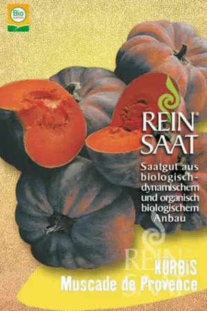 Prijs verlaagd | ReinSaat Pompoen “Muscade de Provence”