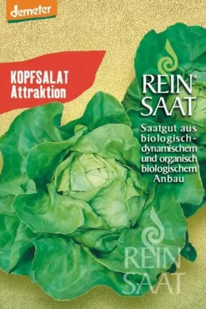 Fabrieksprijs - ReinSaat Kropsla "Attraktion"