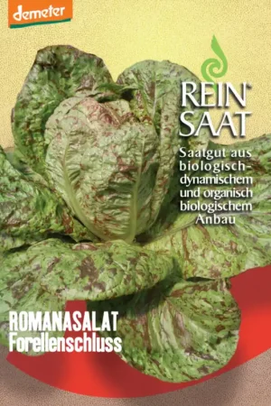 Topkwaliteit | ReinSaat Romeinse sla "Forellenschluß"