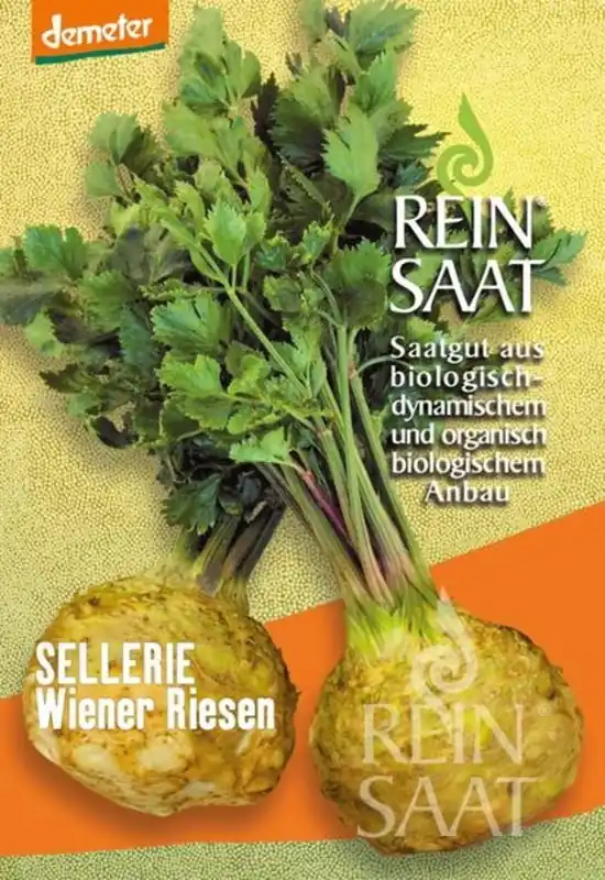 ReinSaat Knolselderij "Wiener Riesen" - Net toegevoegd