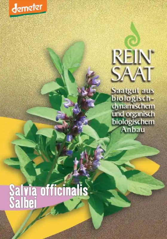 ReinSaat Salie - Deal