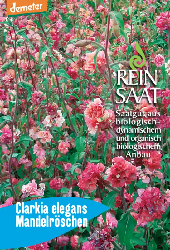 ReinSaat Amandelroosje | Scherp geprijsd