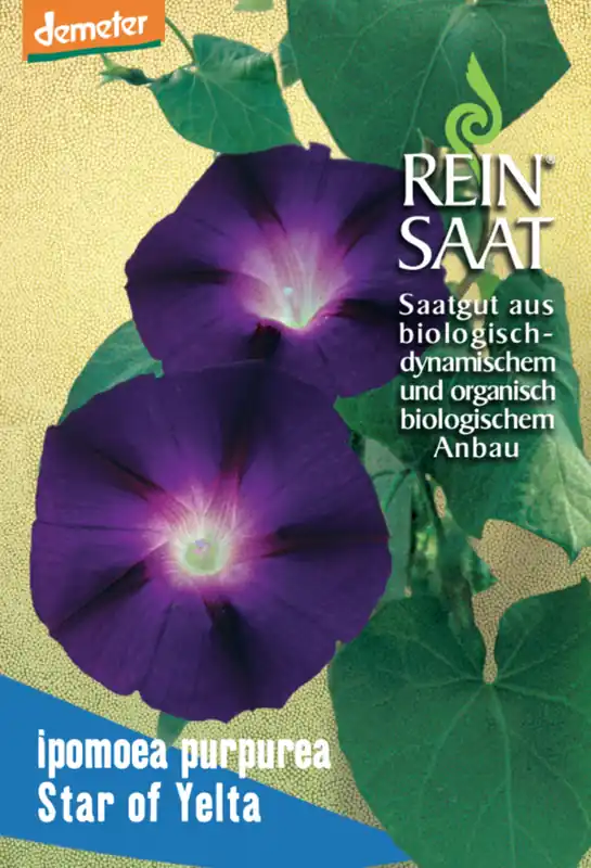 ReinSaat Prachtwinde "Star of Yelta" - Flitsaanbieding