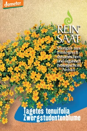 Nieuw in het assortiment | ReinSaat Dwerg Goudsbloem