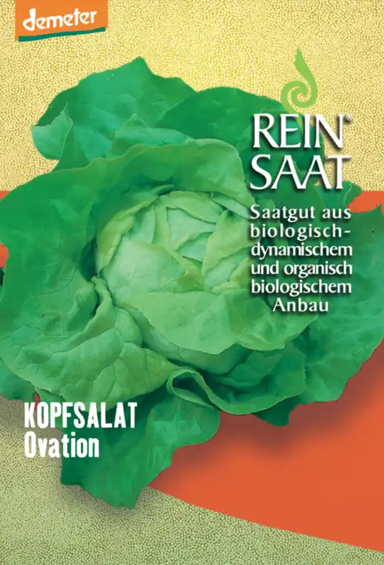 ReinSaat Kropsla “Ovation” | Slechts tijdelijk