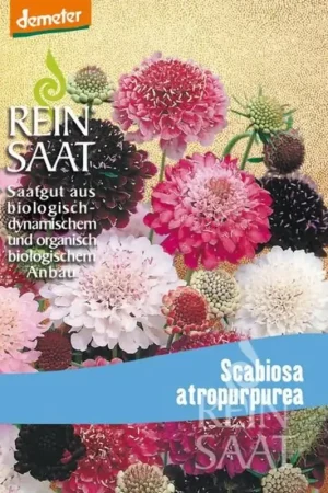 ReinSaat Duifkruid - Tijdelijke aanbieding
