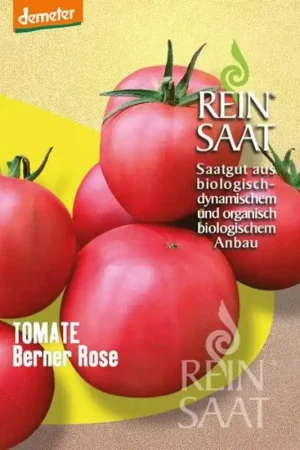 Uitverkoop | ReinSaat Vleestomaat “Berner Rose”