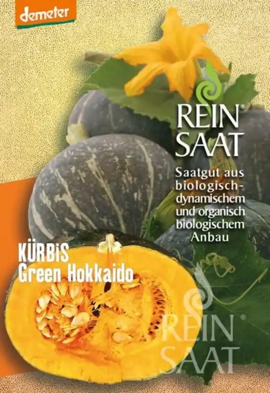 ReinSaat Pompoen “Green Hokkaido” - Premiumkwaliteit