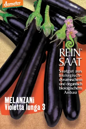 ReinSaat Aubergine "Violetta lunga 3" - Direct van de fabrikant