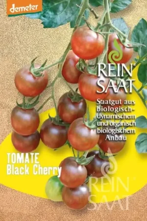 Hoge kwaliteit - ReinSaat Cocktailtomaat "Black Cherry"