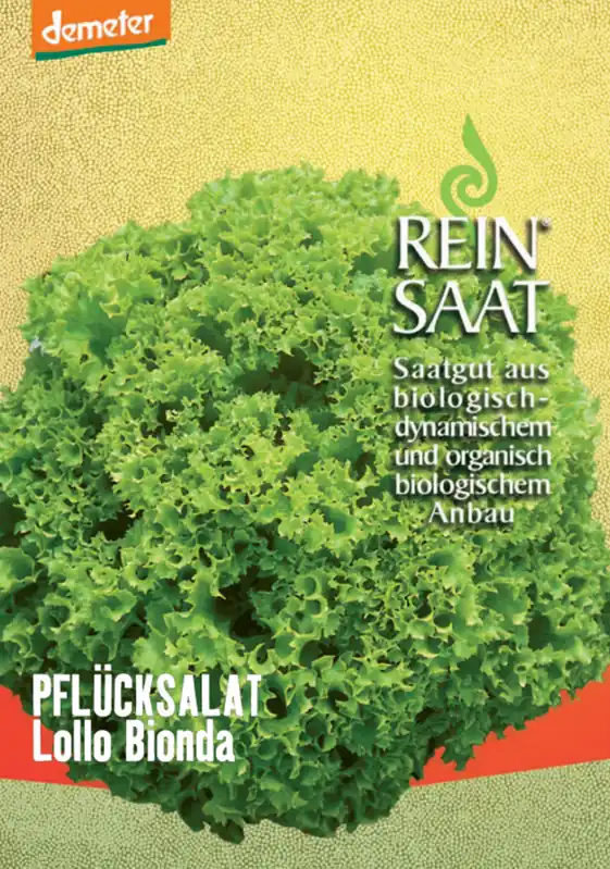 ReinSaat Pluksla "Lollo Bionda" - Klaar voor verzending