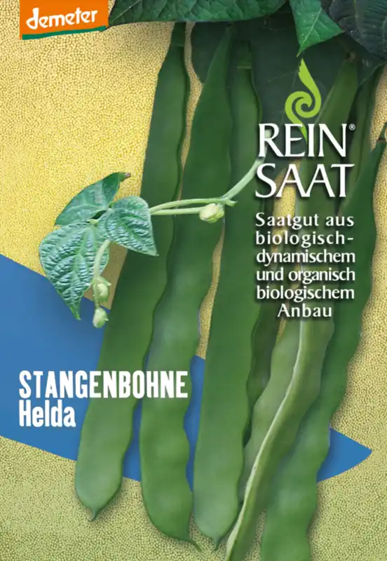 ReinSaat Snijboon “Helda” - Nu beschikbaar