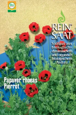 ReinSaat Klaproos "Pierrot" - Topdeal