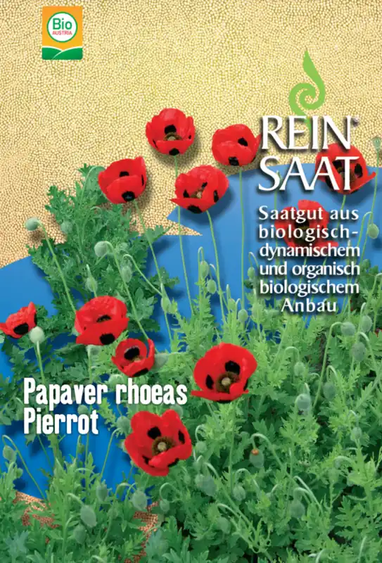 ReinSaat Klaproos "Pierrot" - Topdeal
