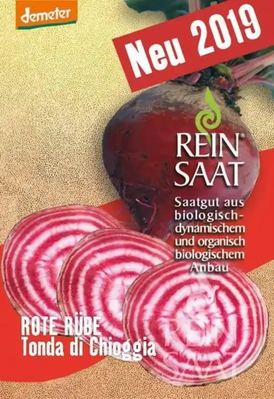 Net gelanceerd - ReinSaat Rode Biet "Tonda di Chioggia"