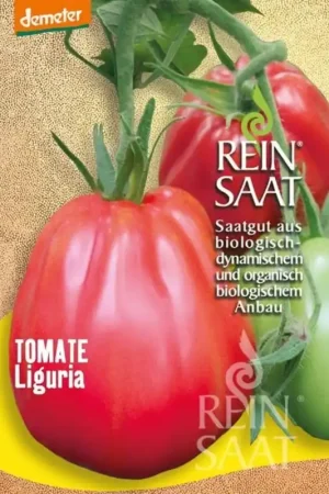 Premiumkwaliteit | ReinSaat Tomaten "Liguria"