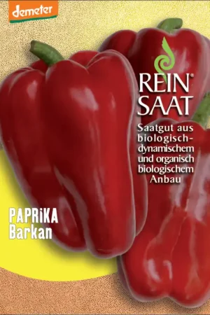 Goed beoordeeld - ReinSaat Paprika "Barkan"