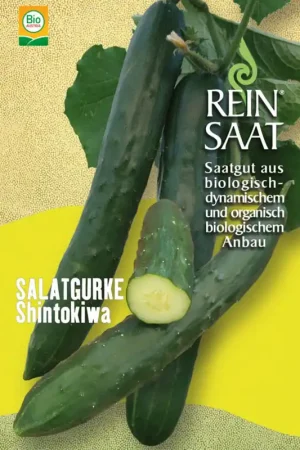 Veilige betaling | ReinSaat Komkommer "Shintokiwa"