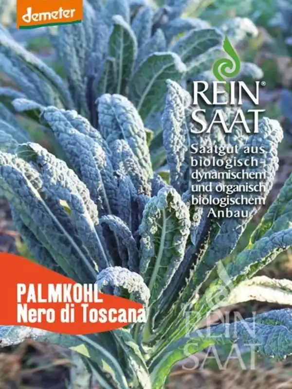 ReinSaat Palmkool "Nero di Toscana" - Meest verkocht
