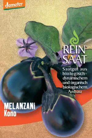 Voordeelprijs - ReinSaat Aubergine "Kono"