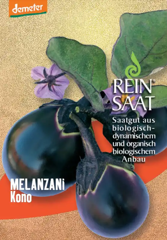 Voordeelprijs - ReinSaat Aubergine "Kono"