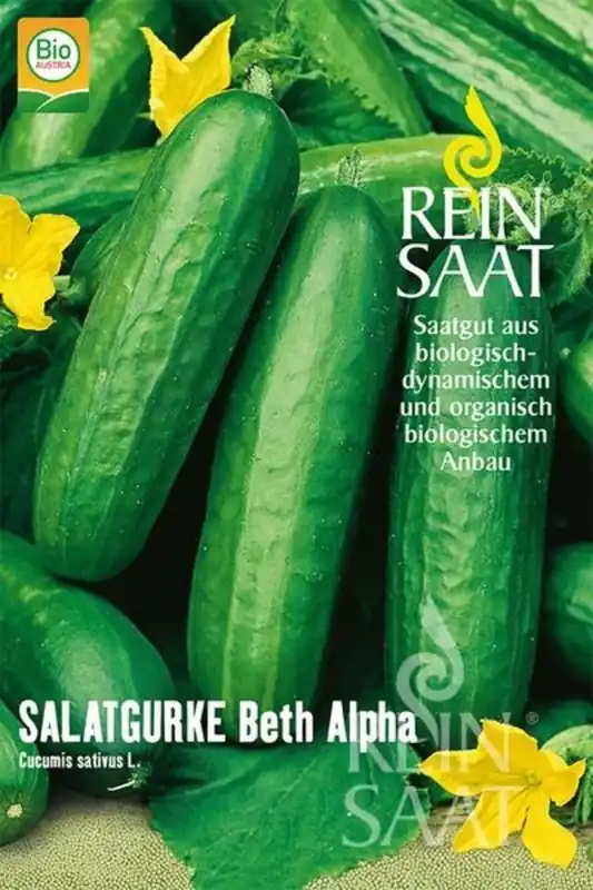 ReinSaat Komkommer "Beth Alpha" | Nieuw binnengekomen