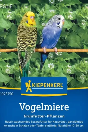Fabrieksprijs | Kiepenkerl Vogelmuur - Groenvuur Planten
