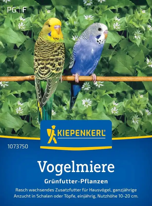 Fabrieksprijs | Kiepenkerl Vogelmuur - Groenvuur Planten
