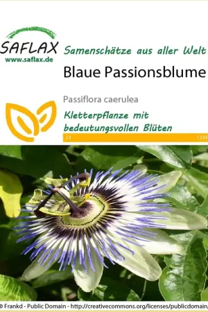 Nu kopen - Saflax Blauwe Passiebloem