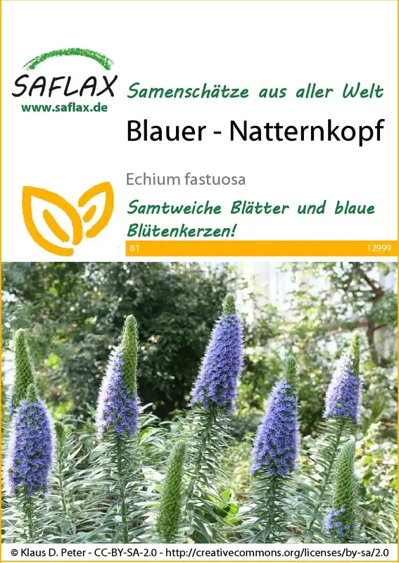 Topproduct - Saflax Blauw Slangenkruid