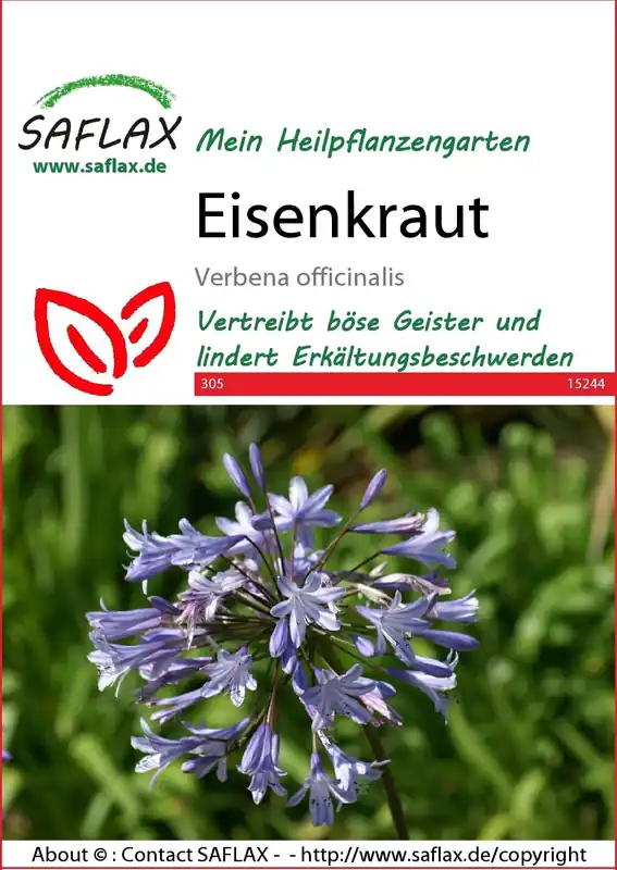 Saflax IJzerhard - Nieuw in de shop
