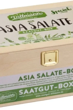 Saatgut Dillmann Asia Sla Zaden - Box S | Snelle levering