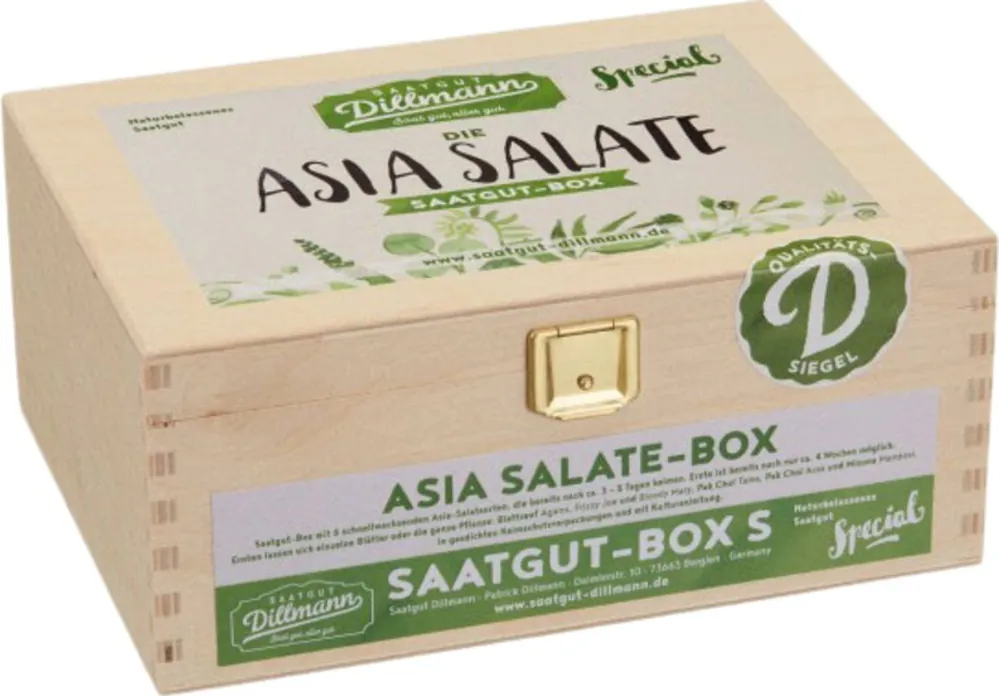 Saatgut Dillmann Asia Sla Zaden - Box S | Snelle levering