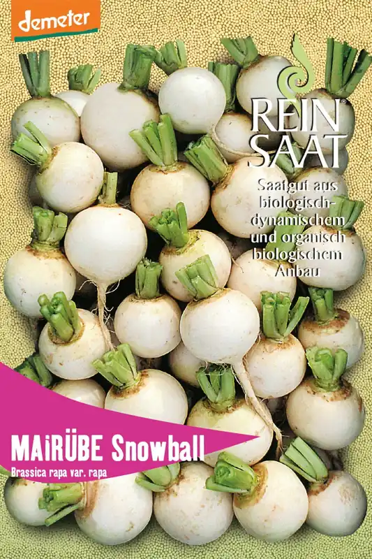 ReinSaat Meiraap "Snowball" | Premium