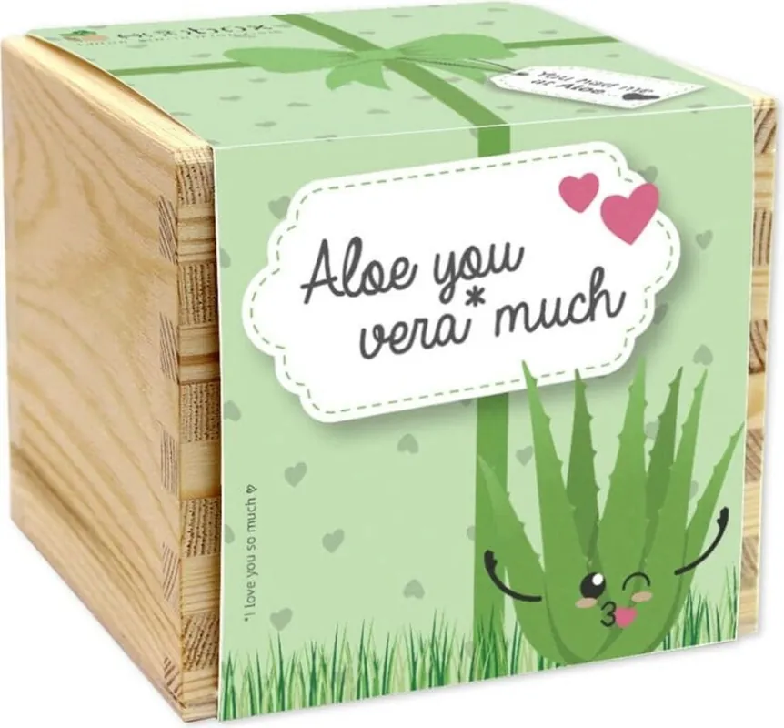 Flitsaanbieding - Feel Green ecobox Aloë Vera